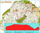 VII Grand Prix Krakowa w biegach grskich #4/5 Krakw, Nordic Walking dystans 3,7km - ??.??.2018